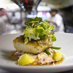 placeholder image-sq